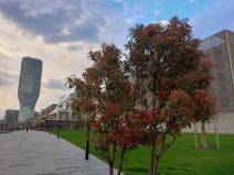 realme C55 slike  5.jpg