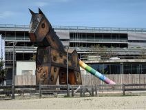 Huawei P60 Pro 10.jpg