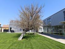 Redmi Note 12 Pro 5G kamere dan 1.jpg