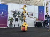 Mirokai robot IFA 13.jpg