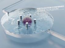 SpaceBorn United 3.jpg