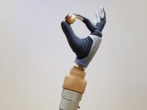 Low-Res_SciRob 1.jpg