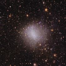 Euclid_s_view_of_irregular_galaxy_NGC_6822.jpg