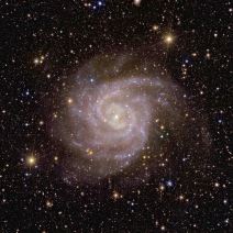 Euclid_s_view_of_spiral_galaxy_IC_342.jpg