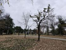 Samsung Galaxy S23 FE _ fotografije _ Foto Mondo Ilija Baošić (4).jpg