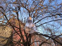 Redmi Note 13 Pro Plus 5G test kamere dan 3.jpg