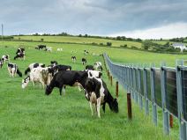 Solarne ograde na imanju