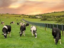 Solarne ograde 5.jpg