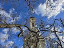 Galaxy S24 Ultra test kamere dan 2.jpg