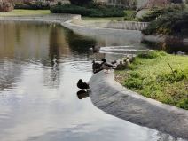 realme C67 test kamere dan 3.jpg