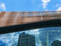 HONOR Magic6 Pro test kamere dan 4.jpg