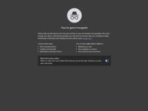 Google Chrome Incognito Mode.jpg