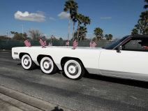 Najduža limuzina na svetu 1.jpg