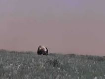 Chang'e 6 sletanje 4.jpg