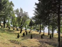 Huawei Pura 70 slike 1.jpg