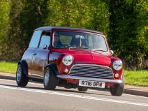 Mini oldtajmer _ Foto Shutterstock sue Thatcher.jpg