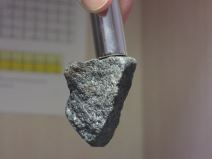 Magnet _ Foto Wikimedia GOKLuLe 盧樂.jpg