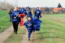 zasadi drvo (45).jpg