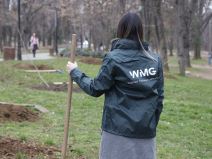 Zasadi Drvo WMG