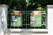 Dečija radionica Zasadi drvo 5.jpg