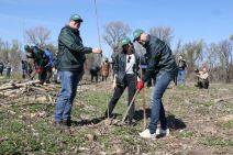 Zasadi drvo slika 3.jpg