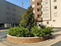 realme GT 7 i GT 7T recenzija kamere  4.jpg