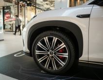 BYD Sealion 7 GAS 2025 slika 4.jpg