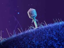 Bakteriofag u svemiru