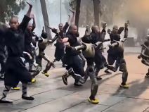 Roboti u Šaolin hramu 1.jpg