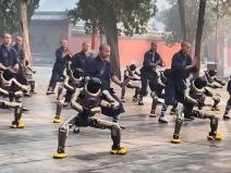 Roboti u Šaolin hramu 2.jpg