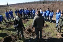 Bojčinska šuma slika 5.jpg