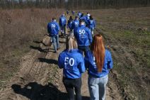 Bojčinska šuma slika 4.jpg