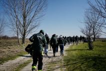 Projekat Zasadi drvo premašio 1,2 miliona sadnica