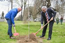 Zasadi drvo slika 3.jpg