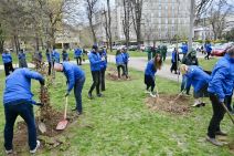 Zasadi drvo slika 5.jpg