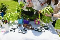 Eko festival slika 2.jpg