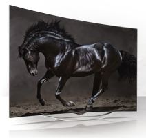 LG OLED T u Srbiji, cene, kupovina, prodaja, opis OLED tehnologije, slike, video