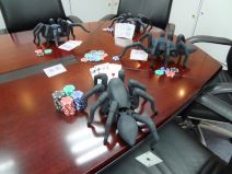 T8X spider robot pauk 