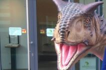 Samsung Galaxy S8 reakcije divljih životinja