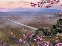 Operativni sistem iz severne koreje