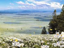 Operativni sistem iz severne koreje