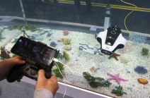 CES International: Sajam gedžeta i tehnike u Las Vegasu (FOTO)