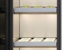 LG Indoor Garden CES 2020 cena, prodaja, kupovina, LG Indoor Garden u Srbiji