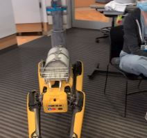 Pas Robot pandemija koronavirus nanjuši tehnologija