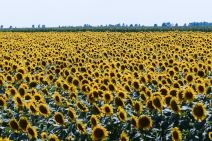 Tehnologije koje mogu spasiti zemlju Kataklizma smak sveta