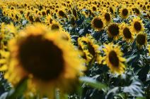 Tehnologije koje mogu spasiti zemlju Kataklizma smak sveta