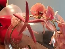 Samsung Galaxy A9 cena u Srbiji, prodaja, kupovina, Samsung Galaxy A9 utisci, Galaxy A9 test i info