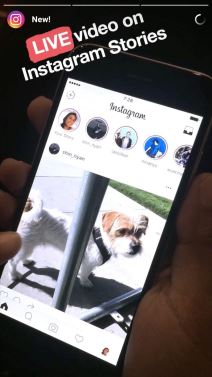 Instagram Live u Srbiji, Kako se koristi Instagram Live