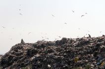 prijavi deponiju aplikacija kako radi preuzimanje android iphone