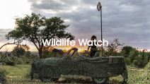 samsung galaxy wildlife watch afrika divlje životinje žirafe ocuvanje prirode savana